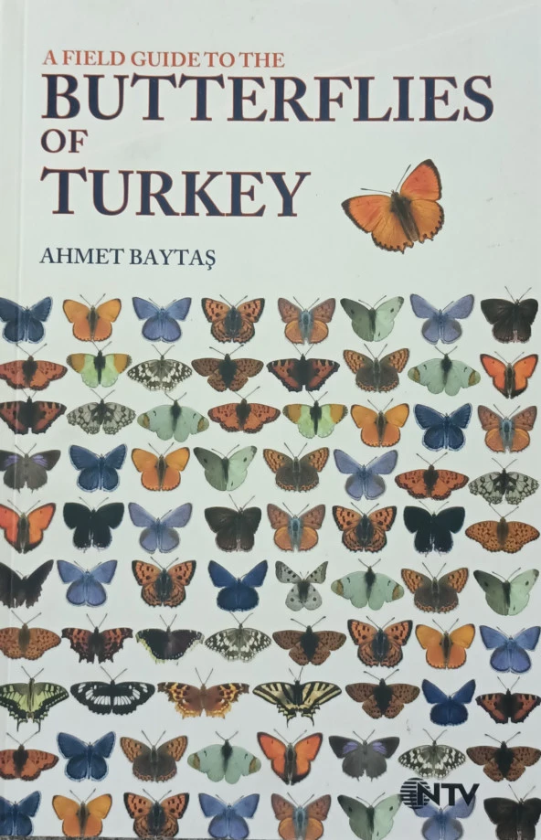 A Field Guide To The Butterflies Of Turkey Türkiyenin Kelebekleri