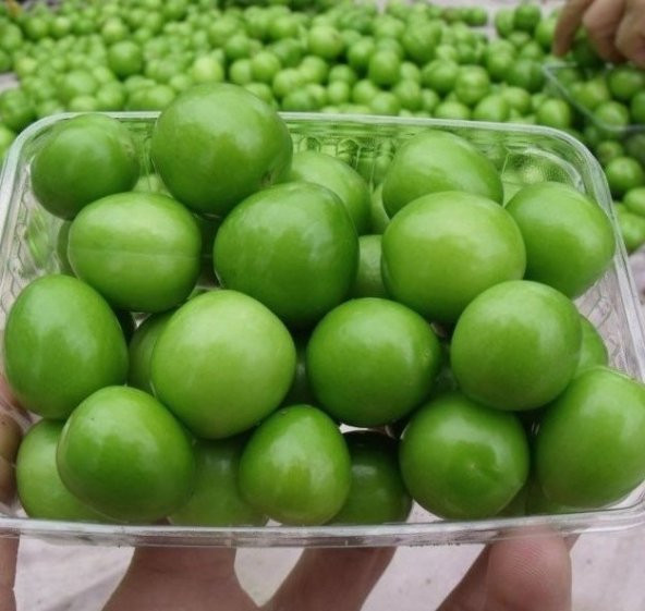 Yeşil Can Erik Turfanda Taze (500 gram)
