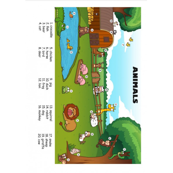 İngilizce Öğreten Kelime Posterleri (22 Laminasyonla KAPLI) - 3