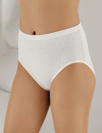 6 lı Paket Şahinler Bayan Ribana Yüksek Bel Bato Külot B008