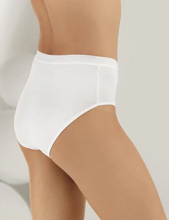 6 lı Paket Şahinler Bayan Modal Likralı Bato Külot B3082 - Resim 3