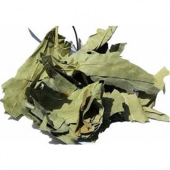 ÇINAR YAPRAĞI 100 GR - 1