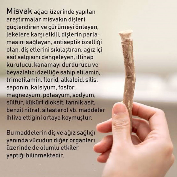 MİSVAK DİŞ FIRÇASI NATUREL VAKUMLU MİSFAK 12 ADET - 2