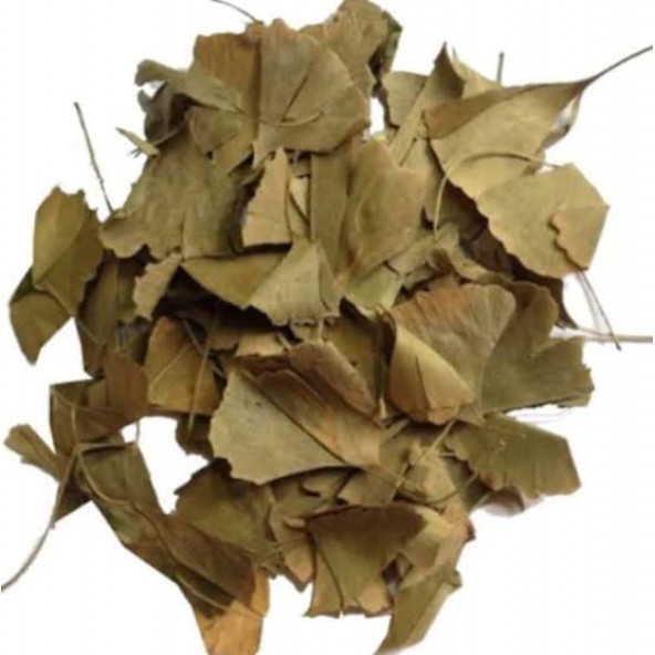GİNKGO BİLOBA (MABET AĞACI YAPRAĞI) 100 GR