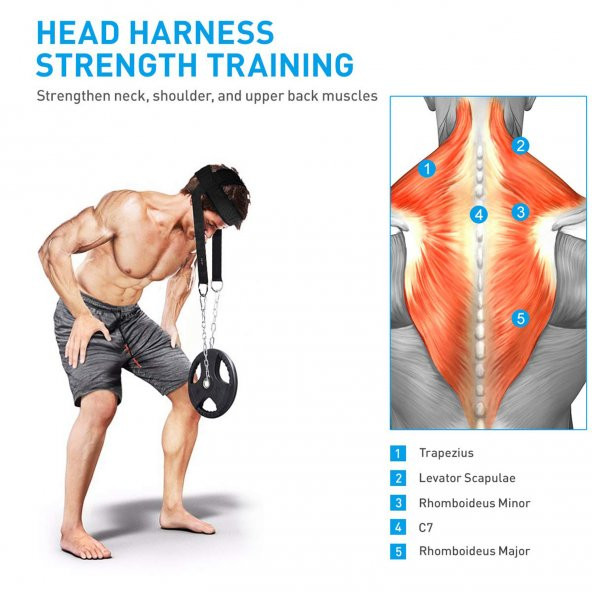 Baş Boyun Geliştirici Ağırlık Kayışı - Baş Boyun Ense Egzersiz Ağırlık Kemeri Fitness Kayış Kemer - 3