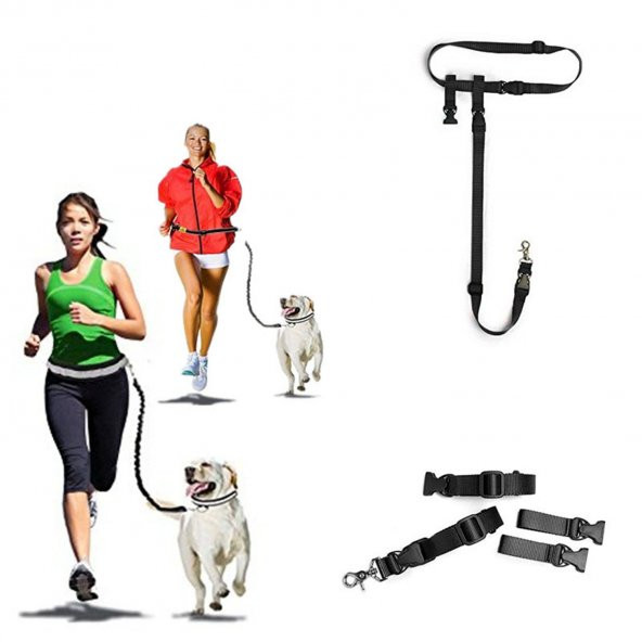 Köpek Tasması Eller Serbest LACİVERT Kedi Köpek Gezdirme Bel Tasması Kayışı İpi Ayarlanabilir Tasma - 2