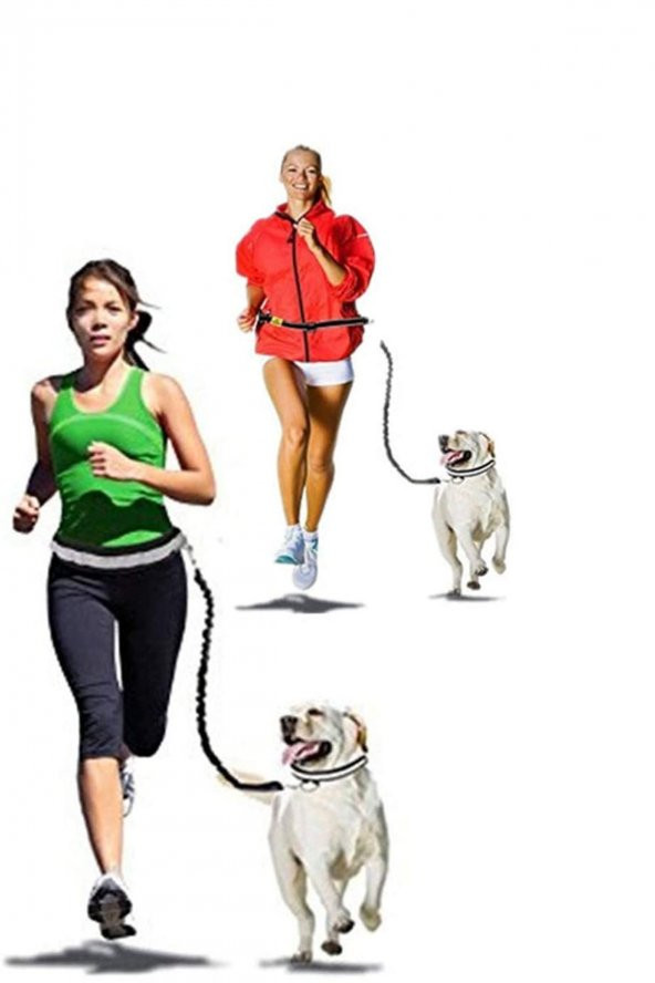 Köpek Tasması Eller Serbest Pembe Kedi Köpek Gezdirme Kemeri Bel Tasması Kayışı Ayarlanabilir Tasma - 3