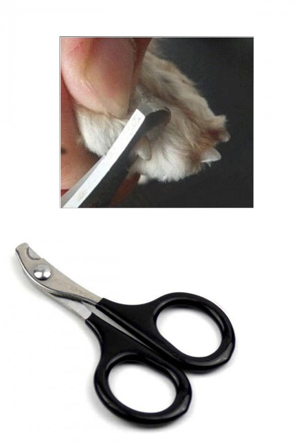 Kedi Köpek Siyah Tırnak Makası Pet Tırnak Düzeltme Kesme Evcil Hayvan Tırnak Törpüsü Pedikür - 3