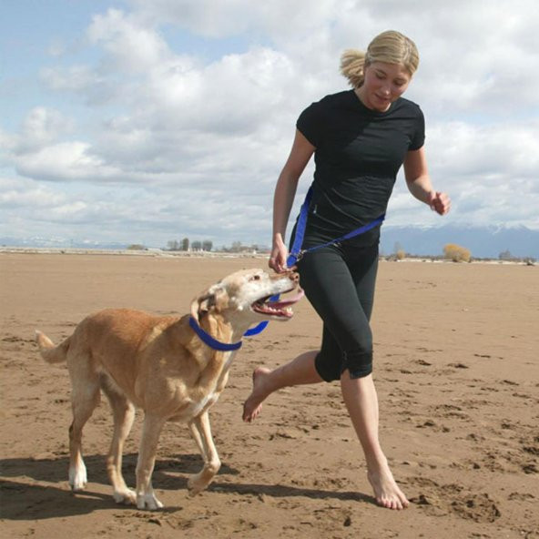 Köpek Tasması Eller Serbest LACİVERT Kedi Köpek Gezdirme Bel Tasması Kayışı İpi Ayarlanabilir Tasma - 4