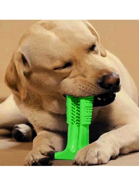 Köpek Diş Temizleyici Kaşıyıcı Oyuncak Kaşıma Temizleme Oyuncağı - 4
