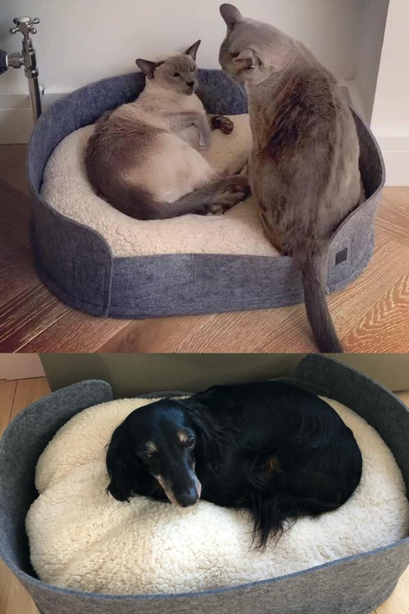 Zeus Kedi Yatağı Gri Evcil Hayvan Peluş Kedi Minderi Kedi Yuvası Evi Kulübesi - 2