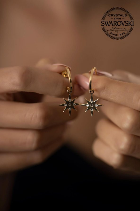 Swarovski Taşlı Kutup Yıldızı Model Altın Kaplama Gümüş Crystal Küpe - 3