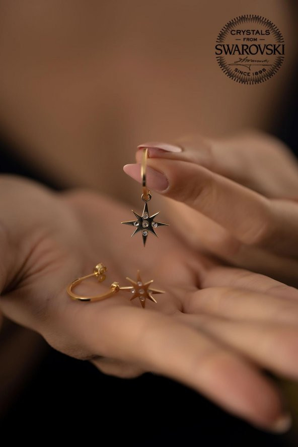 Swarovski Taşlı Kutup Yıldızı Model Altın Kaplama Gümüş Crystal Küpe - 4