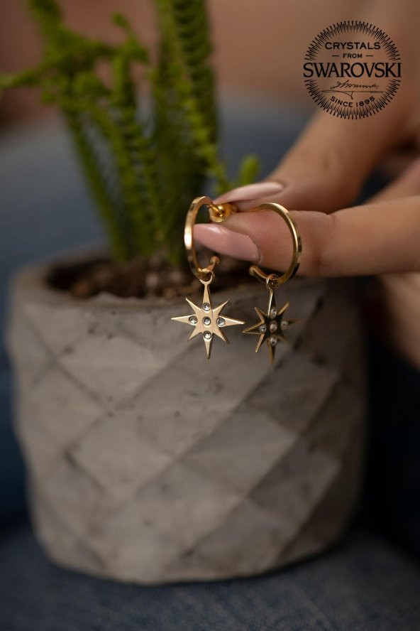 Swarovski Taşlı Kutup Yıldızı Model Altın Kaplama Gümüş Crystal Küpe - 5
