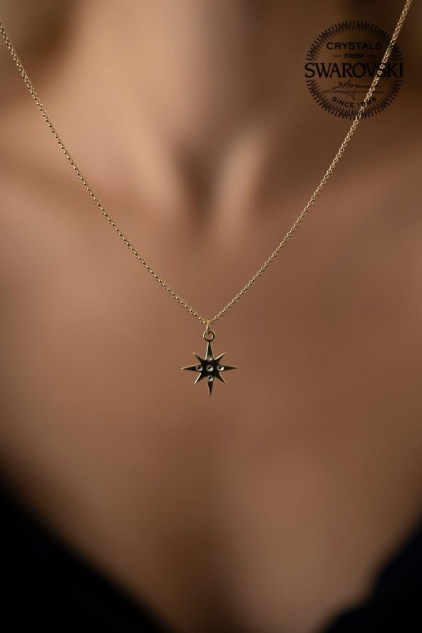 Swarovski Taşlı Kutup Yıldızı Model Altın Kaplama Gümüş Crystal Kolye - 4