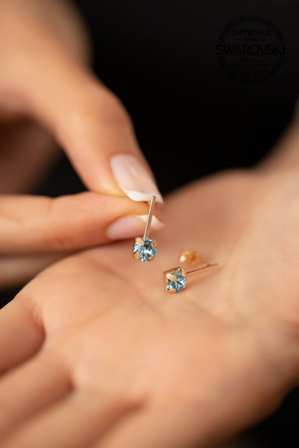 Swarovski Taşlı Çubuk Model Rose Kaplama Gümüş Crystal Küpe - 4