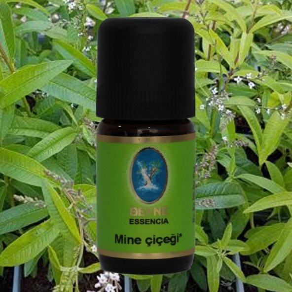 Nuka Organik Mine Çiçeği Yağı 5 ml.