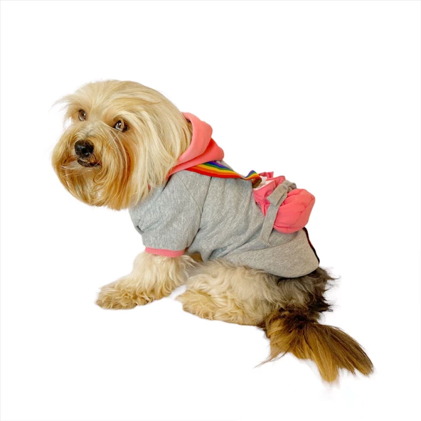 MyPocket Kapşonlu Sweatshirt Köpek Kıyafeti - 3