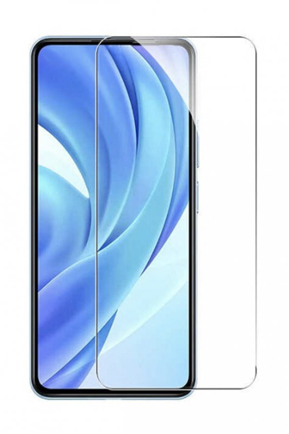 Omix X500  Ekran Koruyucu 3 Adet Temperli Kırılmaz Cam - 1