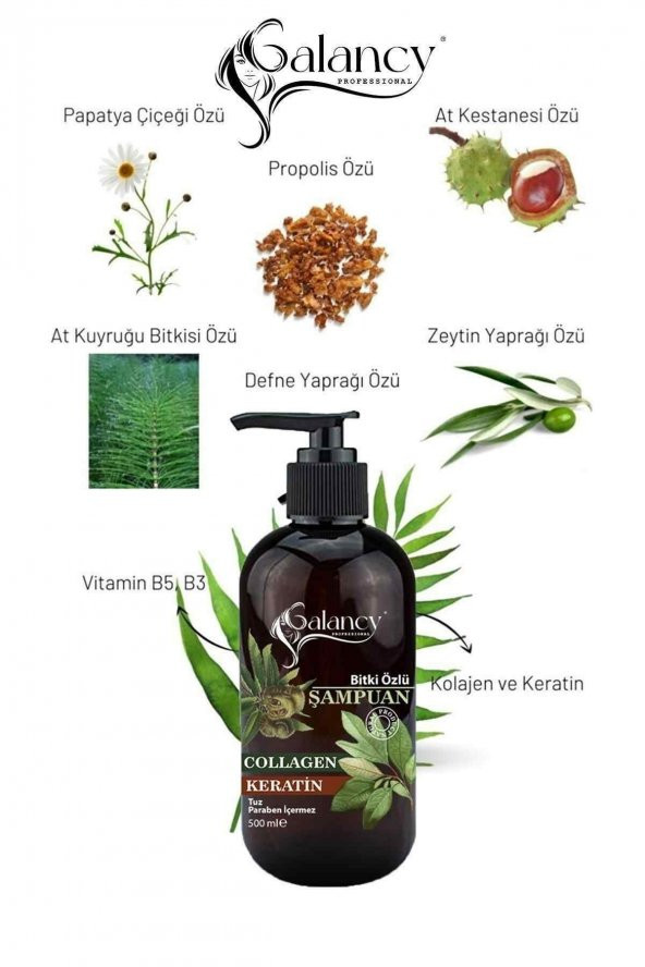 Saç Dökülmesine Karşı Etkili Saç Uzatmaya Yardımcı Tuzsuz Keratinli At Kuyruğu Özlü Şampuan 500 ml - 2