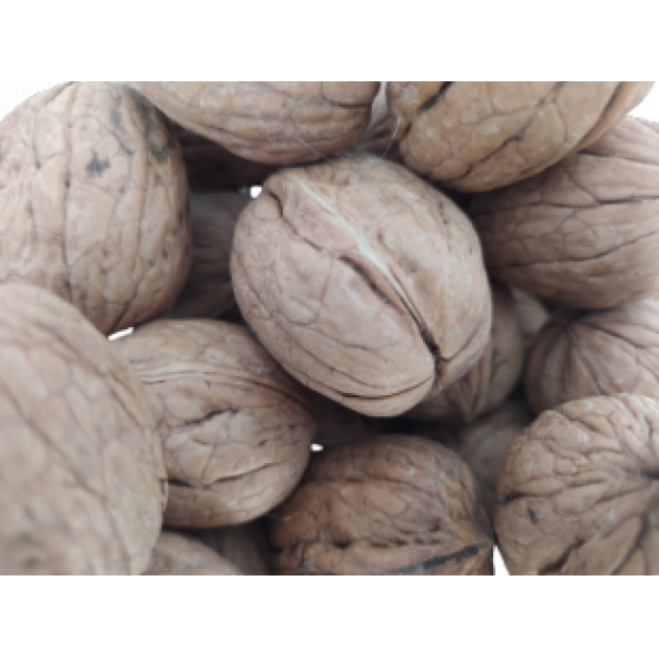 Ceviz İnce Kabuklu Kolayca kırılır Chandler Doğal Üretim 10 kg - 5