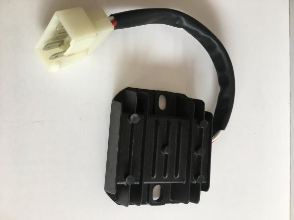 SCOOTER REGÜLATÖR RS HS KONJEKTÖR 5Lİ BÜYÜK FİŞ - 2