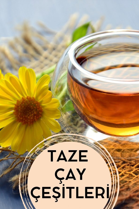 E-aktariye Karışık Kış Çayı Spesiyal Mixed Winter Tea Special 100 Gr - Resim 2