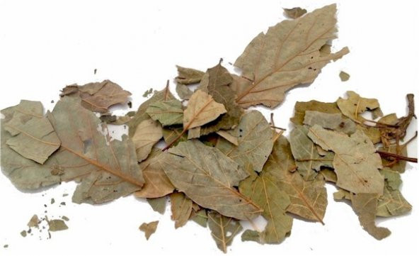 E-aktariye Avokado Yaprağı 50 Gr