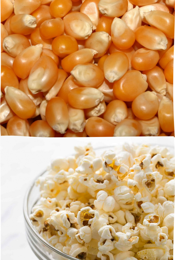 E-aktariye Patlatmalık Mısır 1 Kg Popcorn Movie Sinema Yılbaşı