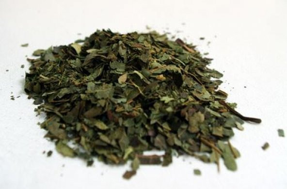 E-aktariye Cinnema Yaprak 250 Gr