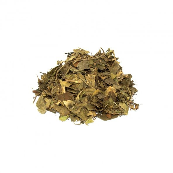 E-aktariye Cinnema Yaprak 100 Gr