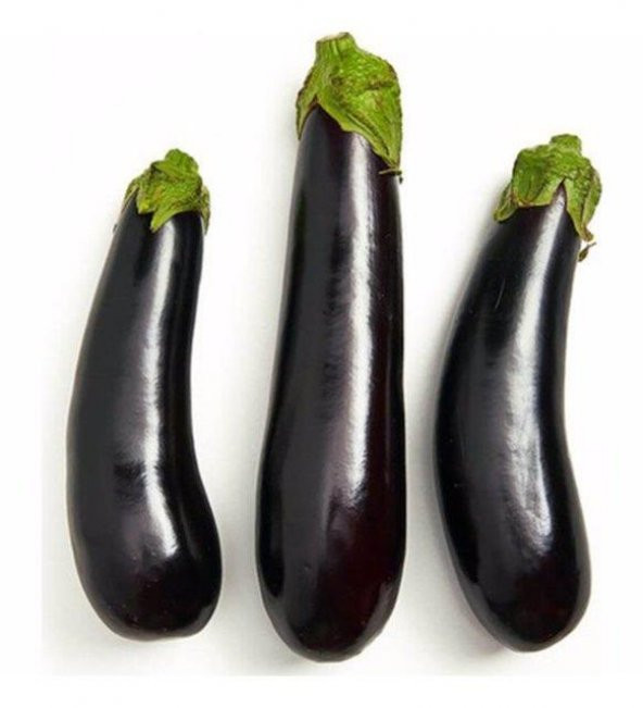 Patlıcan Kemer Tohumu 5 Gr Eggplant Belt Seed