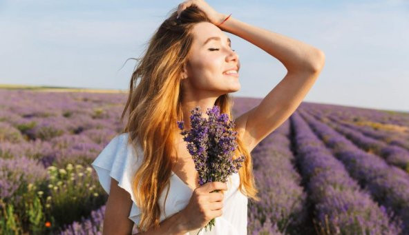 Doğal Lavanta Demeti Natural 15 Adet 200-300 Dal Lavender Bundle - 2