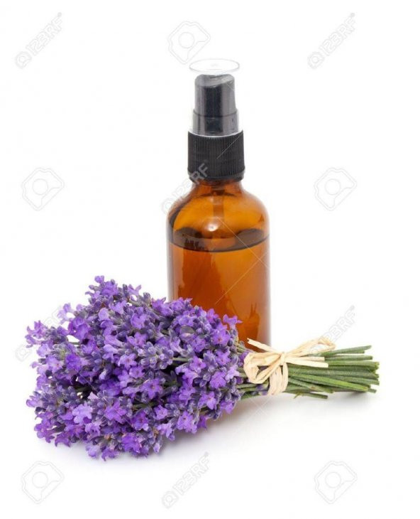 Geleneksel Doğal Saf Lavanta Yağı 10 Ml Lavender Oil