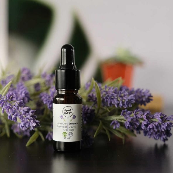 Geleneksel Lavanta Yağı 15 Ml