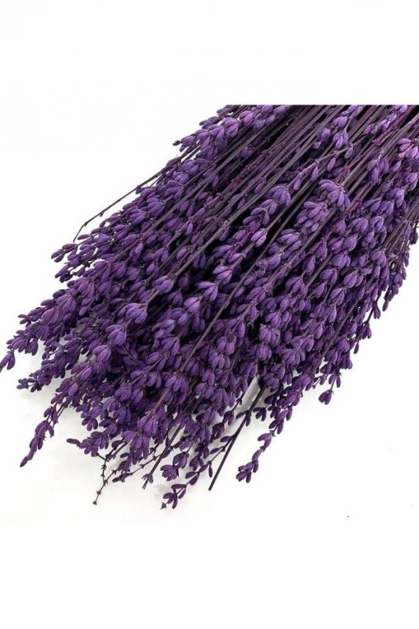 Şoklanmış Doğal Lavanta Demeti İstanbul Moru 40-50 Cm Lavender Bundle