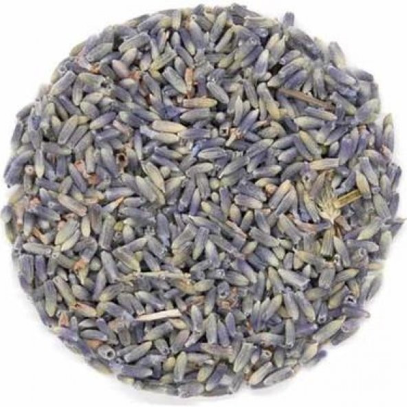 Yoğun Kokulu Yeni Mahsül Doğal Lavanta Çiçeği Kurusu 1000 Gr 1 Kğ - 2