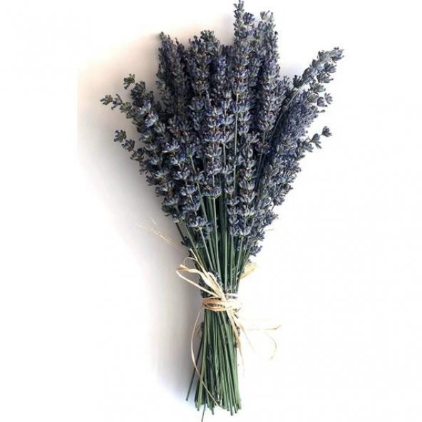 Doğal Lavanta Demeti Natural Lavender Bundle 20 Adet 200-300 Dal