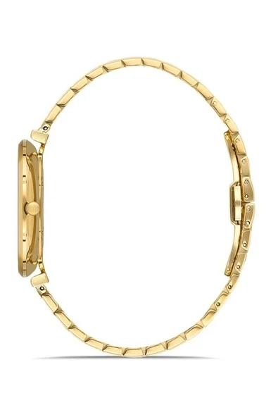 Erkek Kol Saati Cl119g-04sg - Resim 2