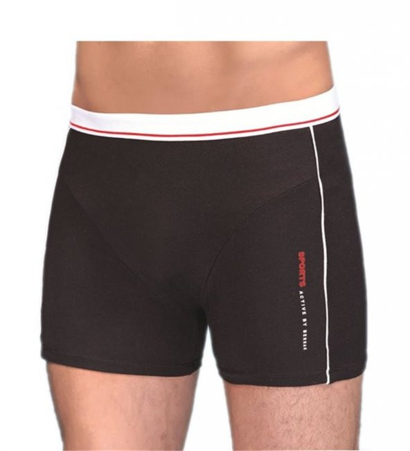 Erkek Modal Silva Boxer 1078