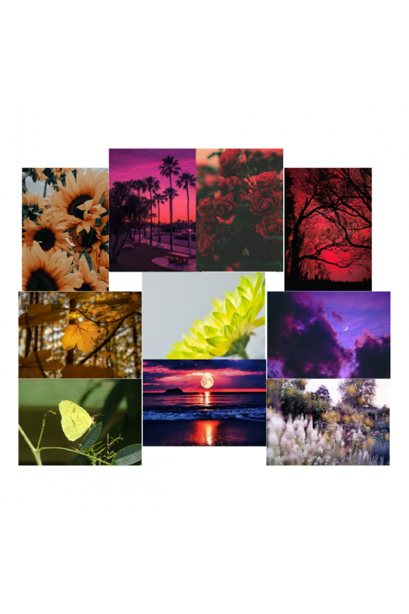 Cottagecore-Poster Duvar Kağıdı Seti ürün görseli