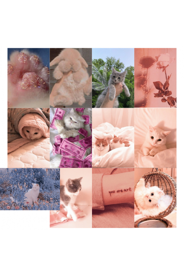 Kedi Cute Cats Soft Poster Duvar Kağıdı Seti ürün görseli