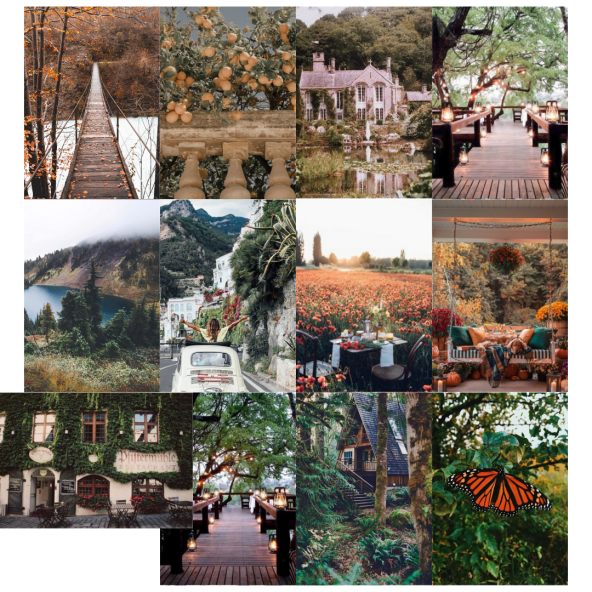 Cottagecore-Doğa-Orman-Poster Duvar Kağıdı Seti ürün görseli