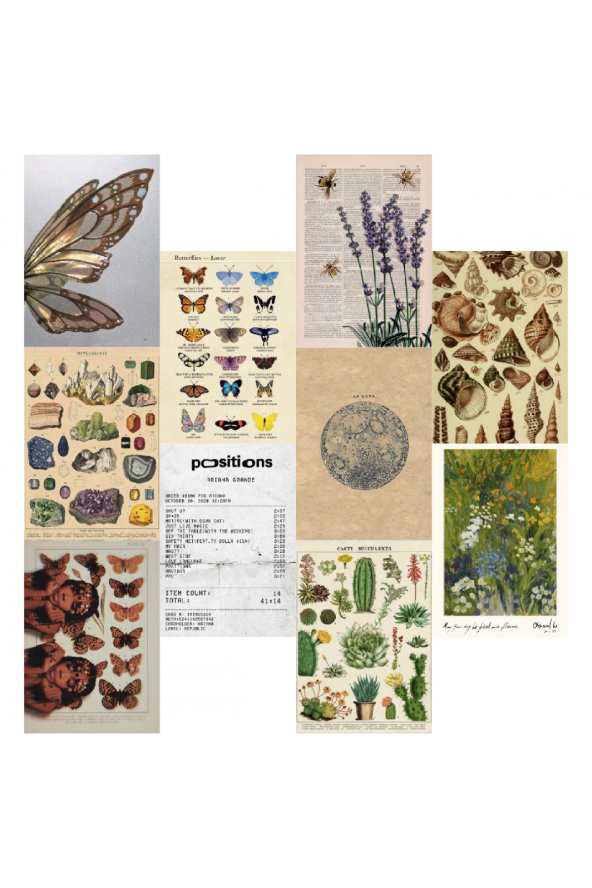 FAIRYCORE FORESTCORE POSTER DUVAR KAĞIDI SETİ ürün görseli