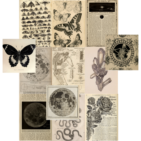 FAIRYGRUNGE GOTHIC POSTER DUVAR KAĞIDI SETİ ürün görseli