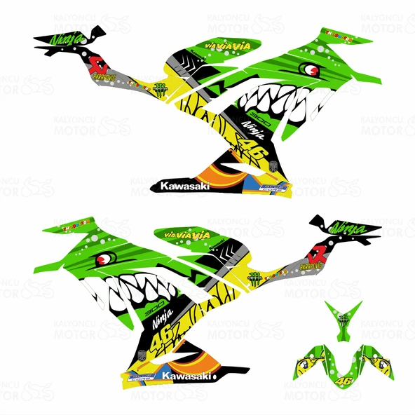 Kawasaki Ninja 300 Rossi Shark Design Yeşil - Resim 2