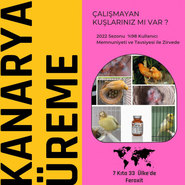 FEROXİT 100 Gr Kanarya Kızıştırıcı ve Üreme Attırıcı Karışım