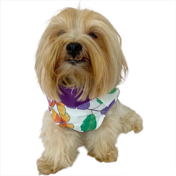 Flower Power Çantalı Su itici Yağmurluk Köpek Yağmurluğu - 6