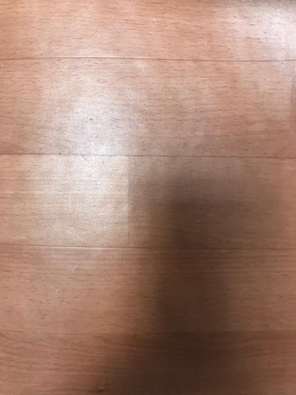 MUŞAMBA 2mx6m PVC ZEMİN KAPLAMA YER DÖŞEMESİ - Resim 3