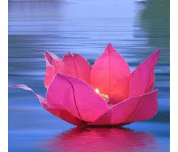 Nilüfer Su Çiçeği Su Feneri - 2